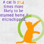 heal microchip