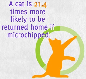 heal microchip