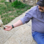 Dr. Parisi is patient with the most shy dogs. Here is reaches his hand out for a white dog to sniff.