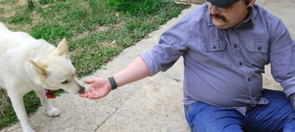 Dr. Parisi is patient with the most shy dogs. Here is reaches his hand out for a white dog to sniff.