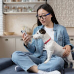 Asian woman sitting on sofa at home and using phone happily with pet jack russell dog having fun together