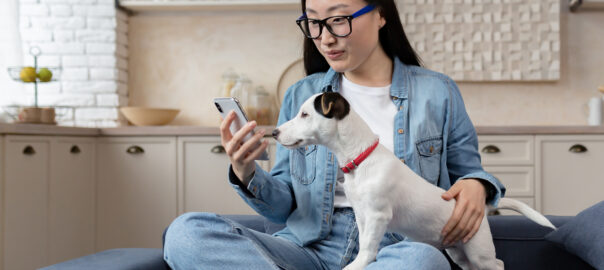 Asian woman sitting on sofa at home and using phone happily with pet jack russell dog having fun together
