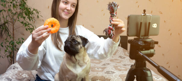 Female pet blogger. Woman recording video review of pet toys product with pug on her smartphone